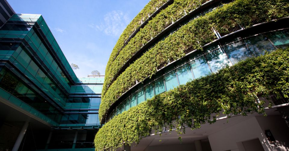 Des bâtiments avec de la verdure