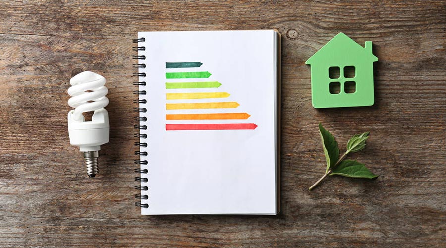 ampolla y auditoria energetica