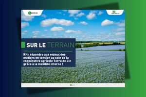 Visuel de la publication Sur le Terrain Apave Terre de Lin