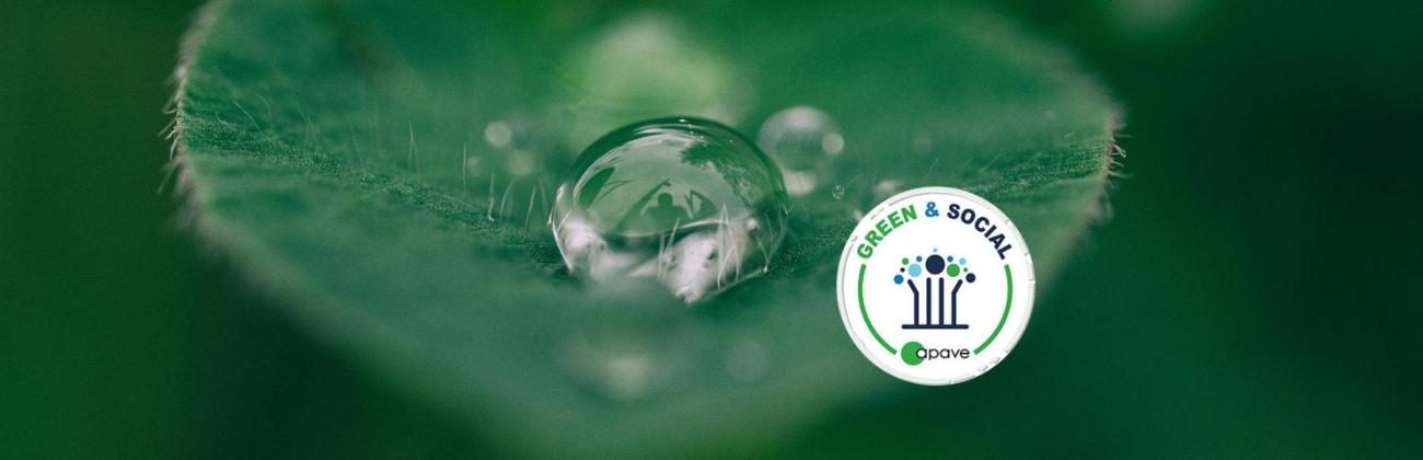 Feuille contenant une goutte d'eau et le logo Green&Social