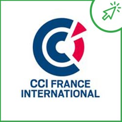 CCI France International
