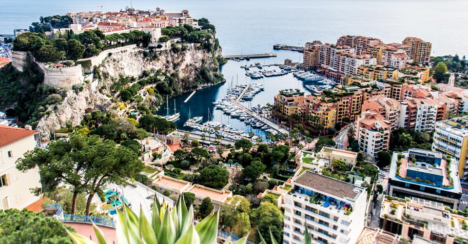 Exotic Garden in Monaco